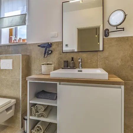 Modern With Swimming Pool And Wellness Holiday home