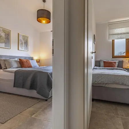 Modern With Swimming Pool And Wellness